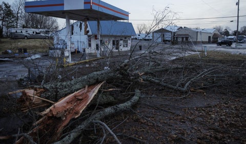 Tornados en Kentucky, Estados Unidos, causaron caída de árboles y daños en viviendas