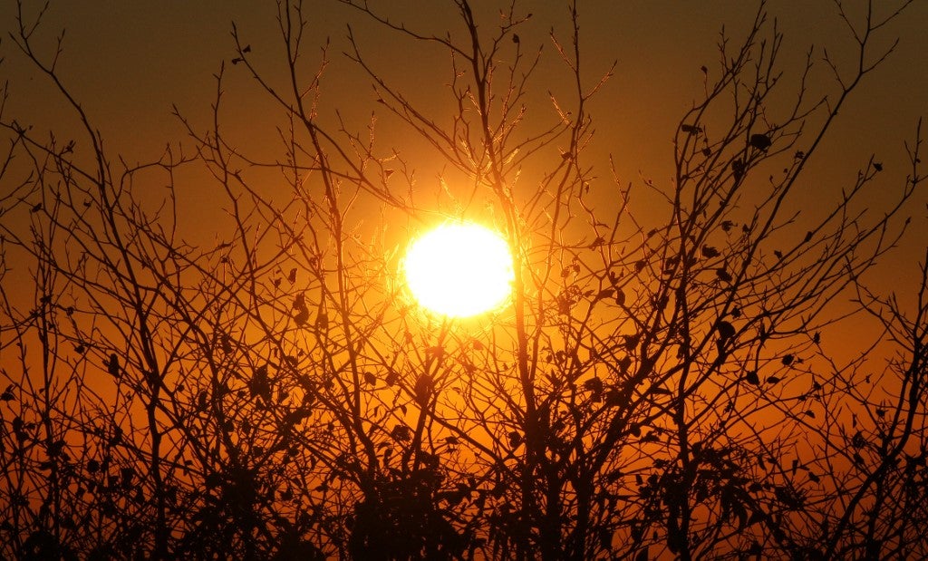 Sol