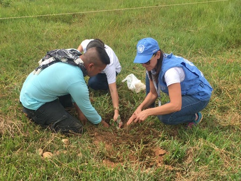 Misión de la ONU en Colombia - Referencia