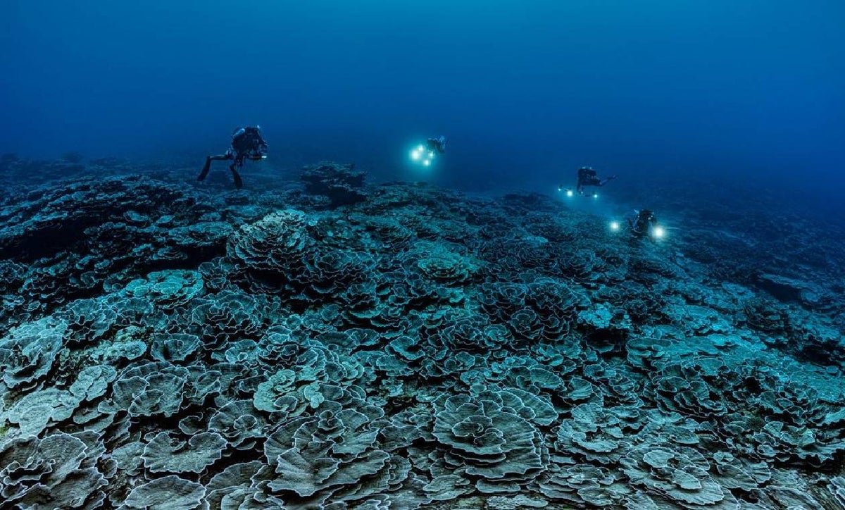 Arrecife de coral en Tahití