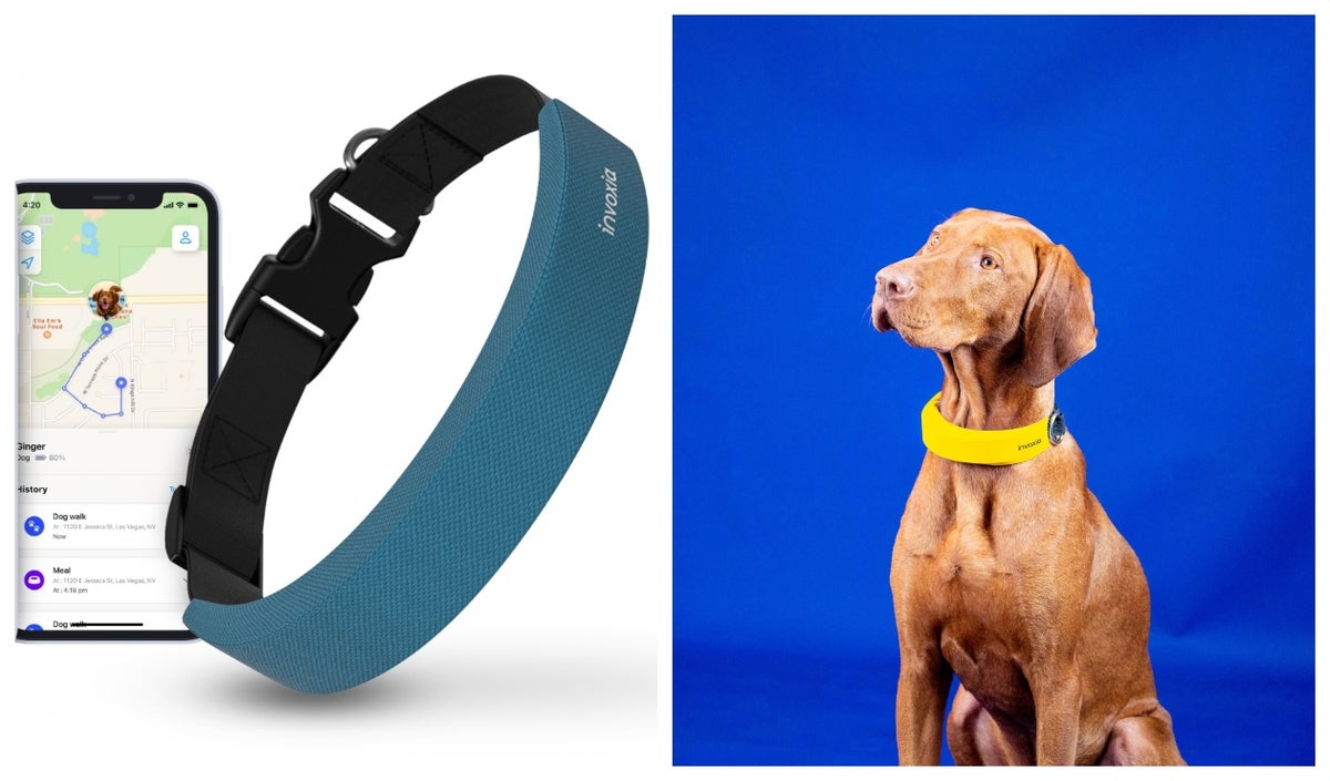 Smart dog collar