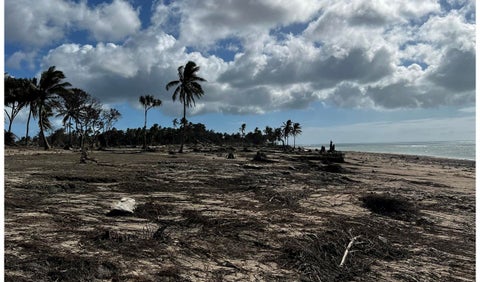 Tonga afectada por un tsunami y la erupción de un volcán