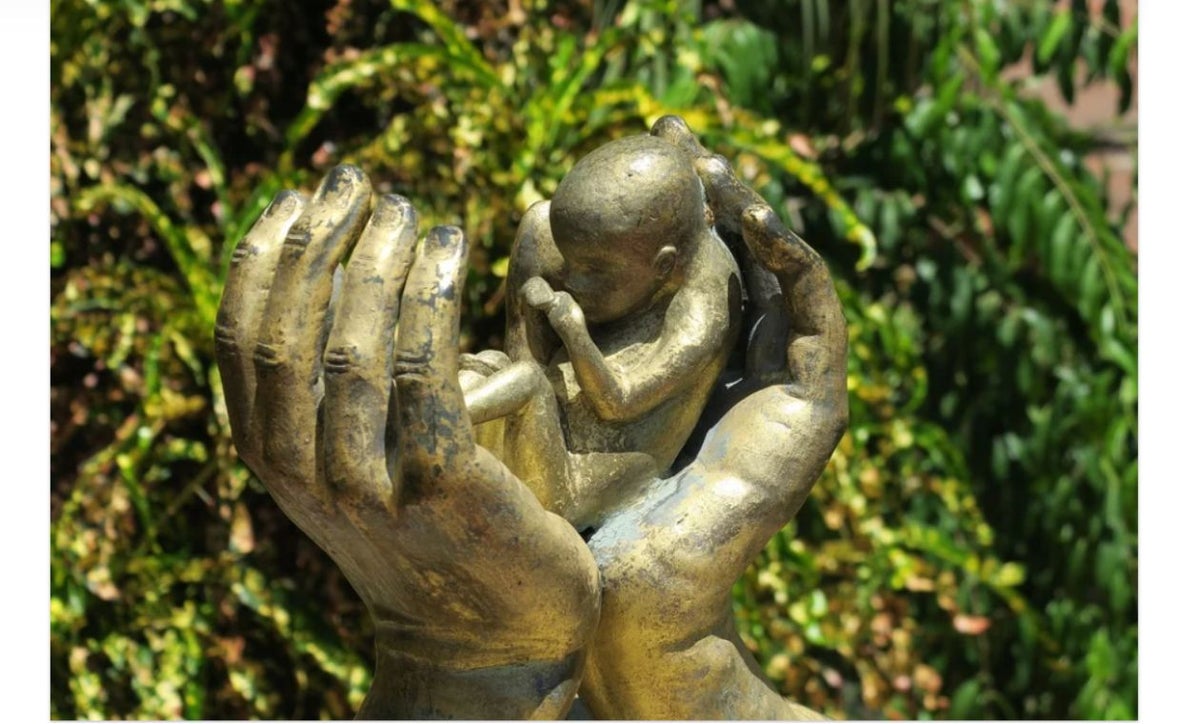 Aborto en Colombia: Proceso a seguir si un médico lo niega