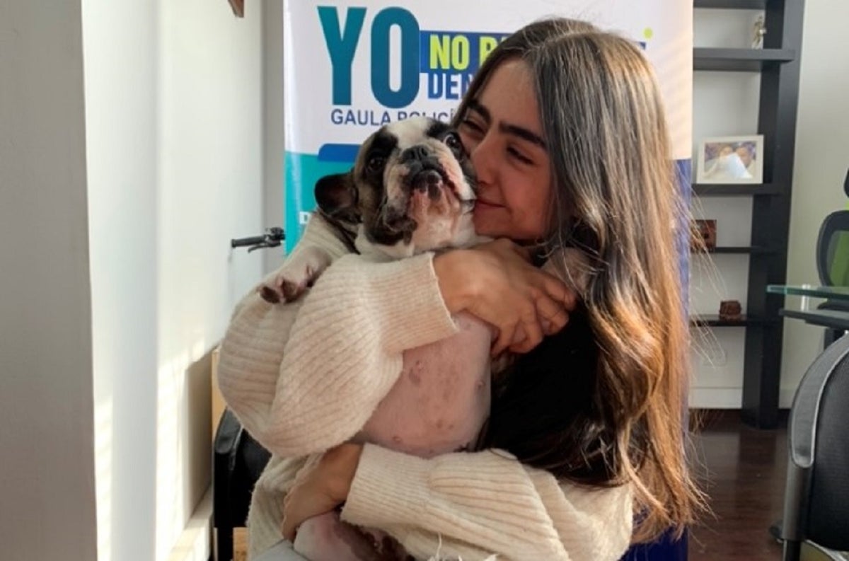 La perrita Venus, 'secuestrada' en Bogotá, volvió con sus dueños.