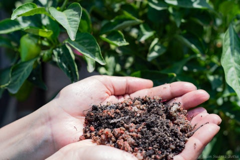 A los agricultores en el Huila les están vendiendo fertilizantes adulterados