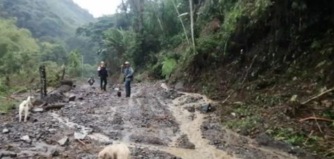 Las emergencias no han dejado perdidas humanas.