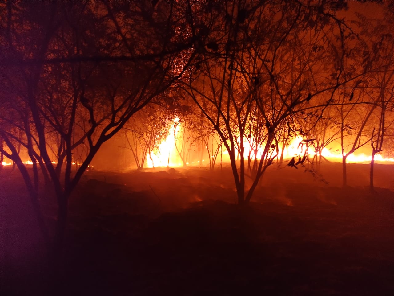 Alera Naranja por incendios