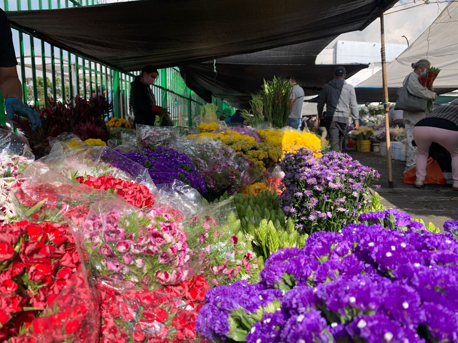 Flores
