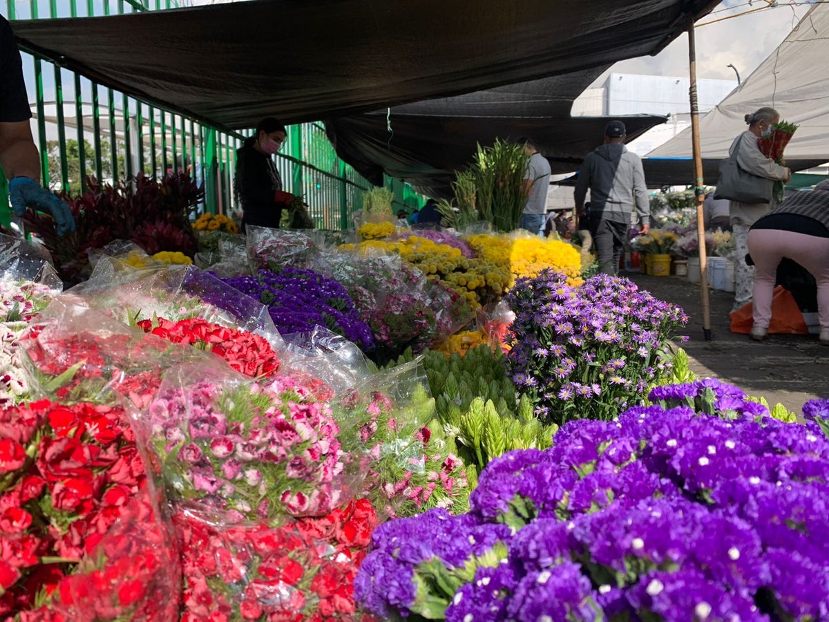 Flores