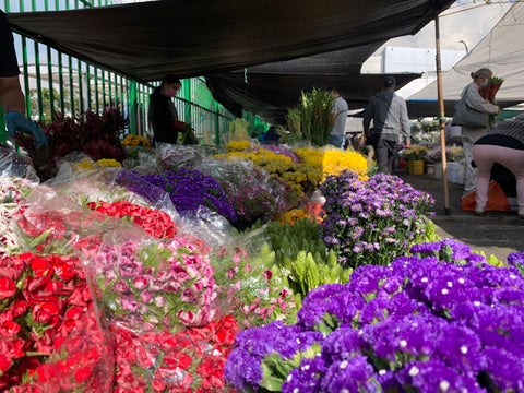 Flores