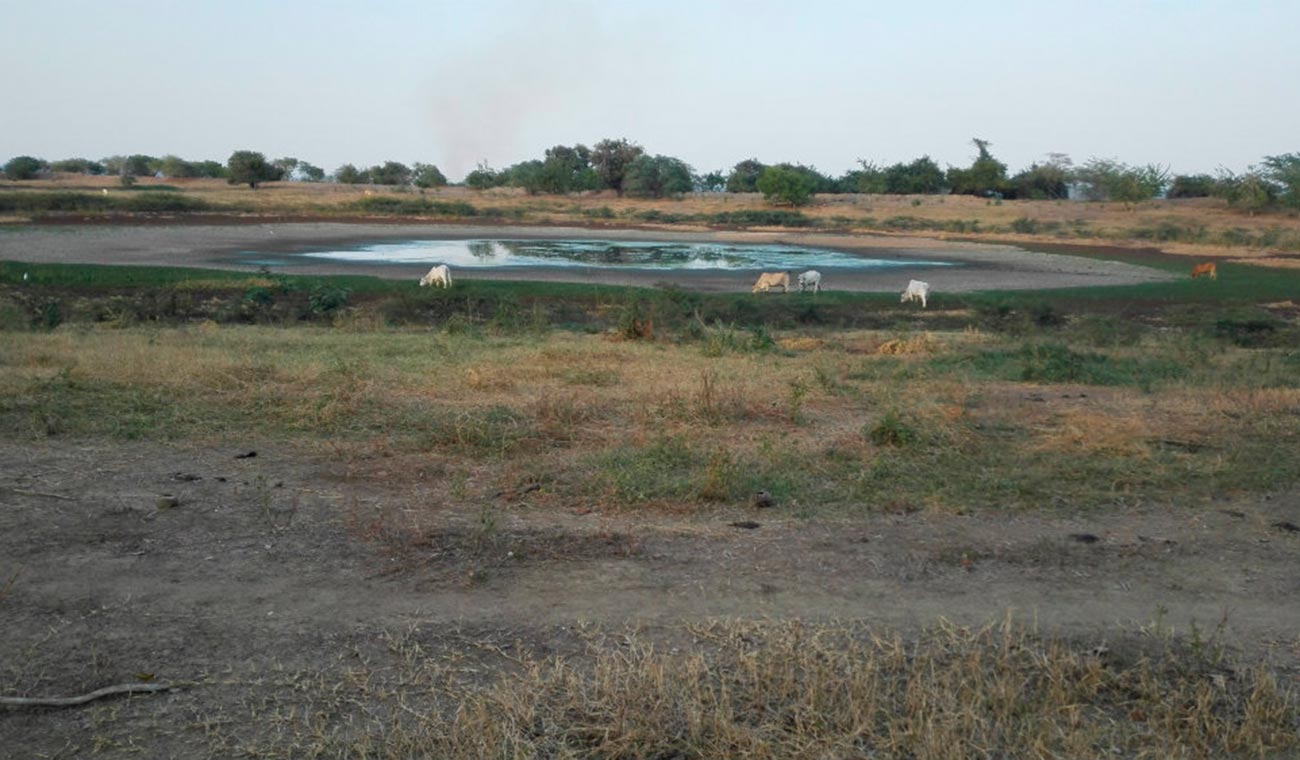 Tierra afectada por sequía