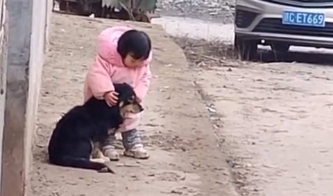 Sonido de pólvora y animales: Niña tapa orejas de su perro asustado