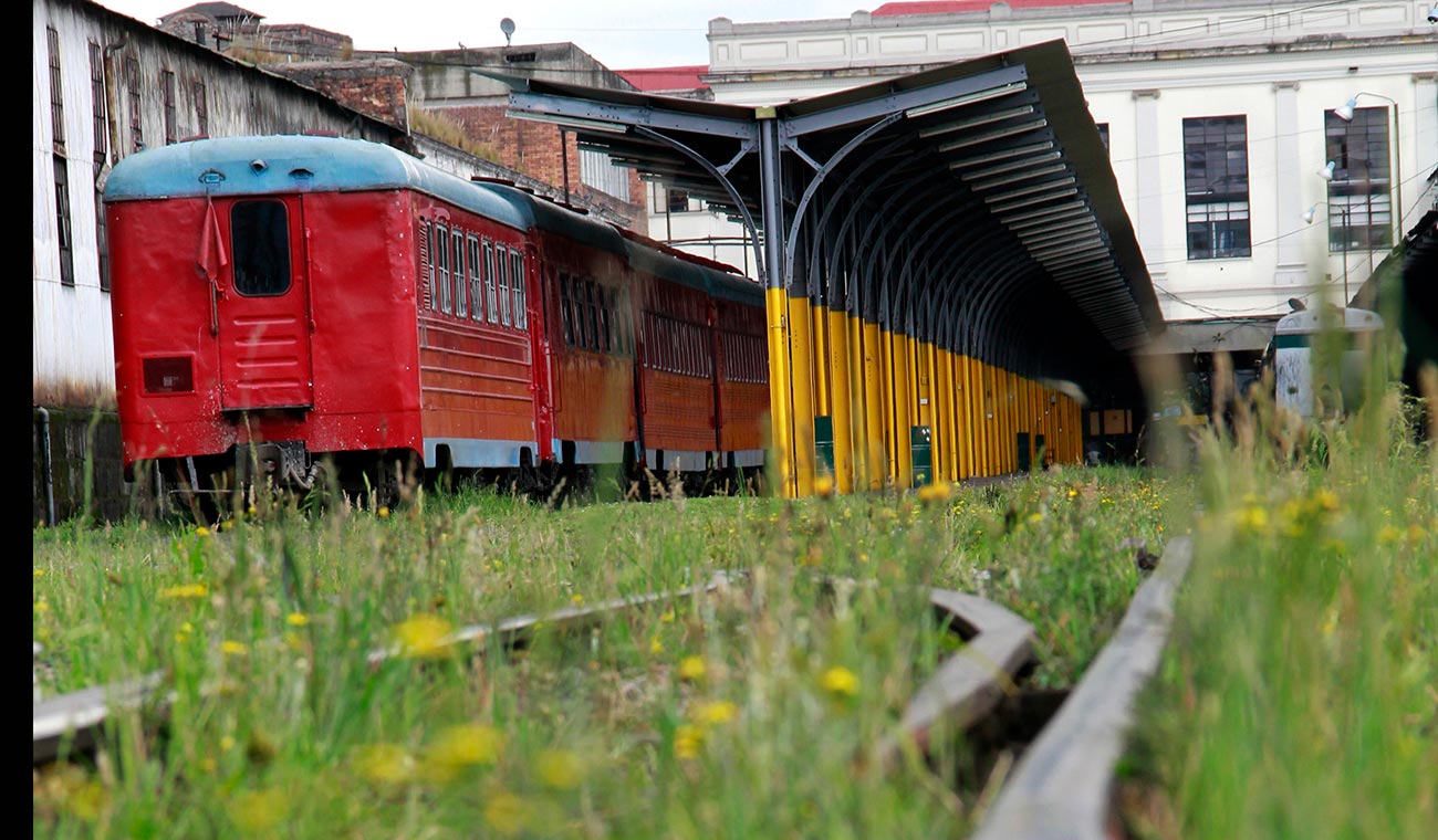 Vía del tren de la sabana