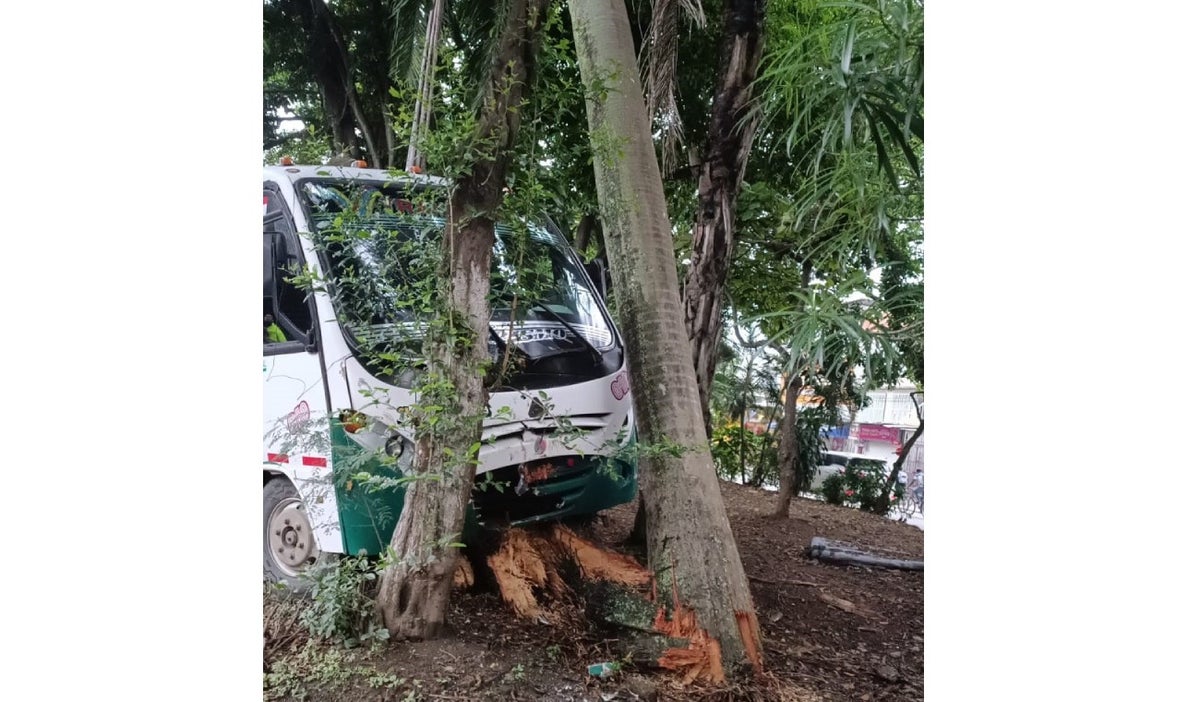 Bus escolar accidentado en Cali se estrelló contra una palma