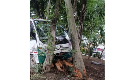 Bus escolar accidentado en Cali se estrelló contra una palma