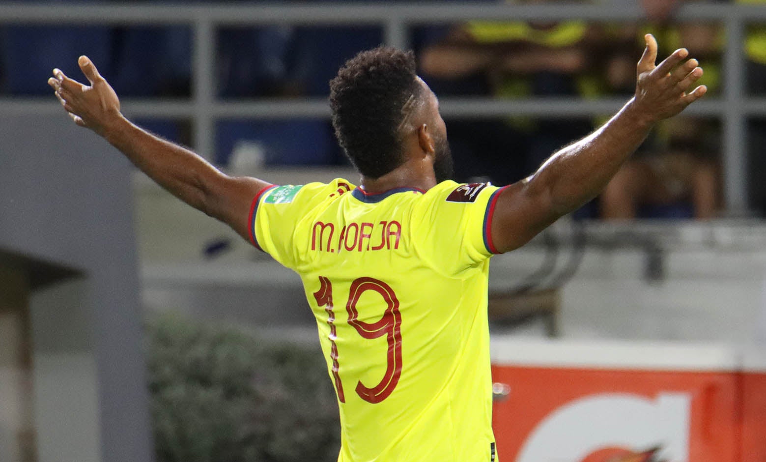 Gol Miguel Ángel Borja Colombia Vs Bolivia