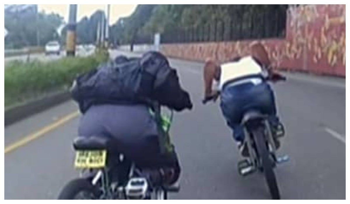 Gravity Bike