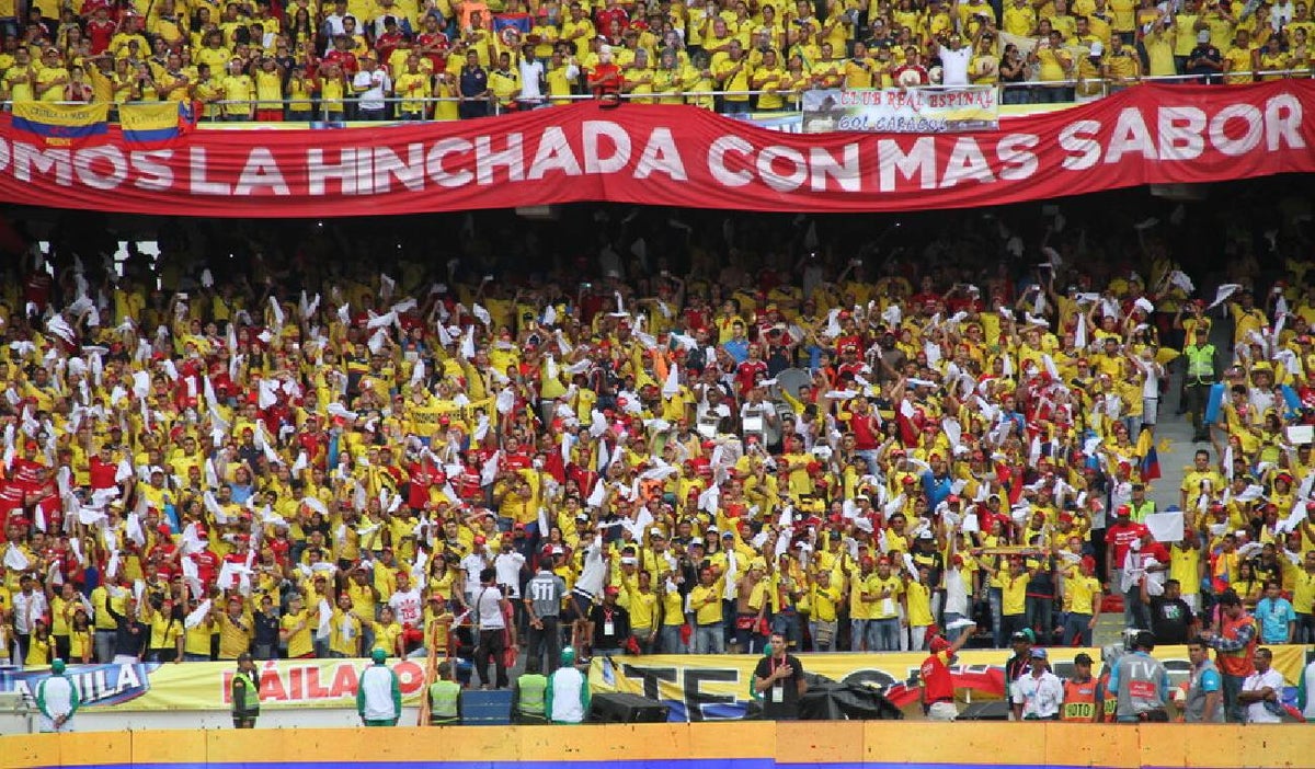 Hinchas de la Selección Colombia