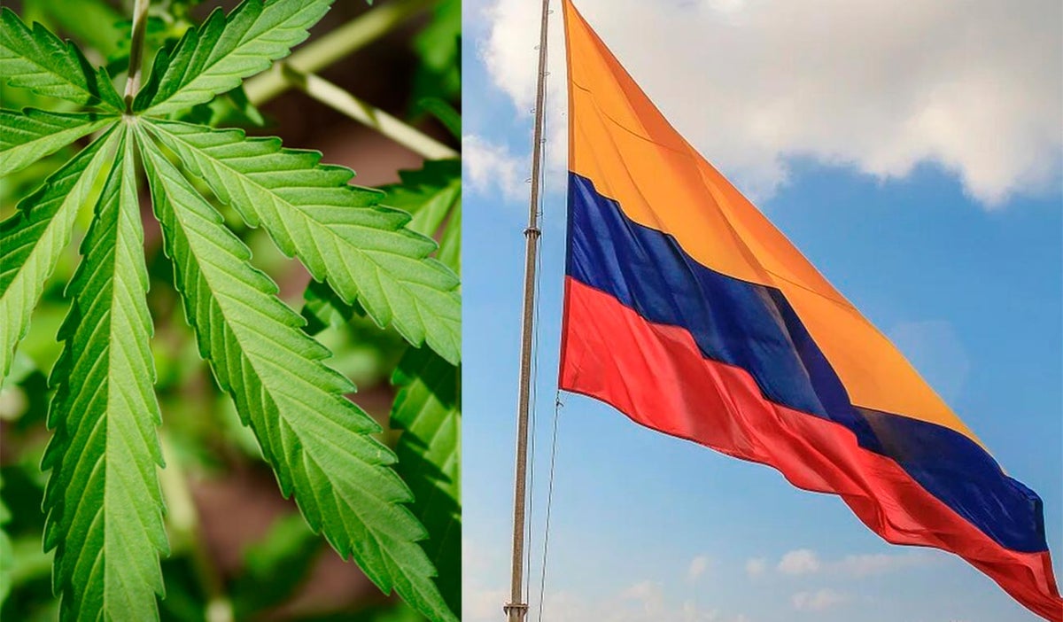 Hoja de cannabis en bandera de Colombia
