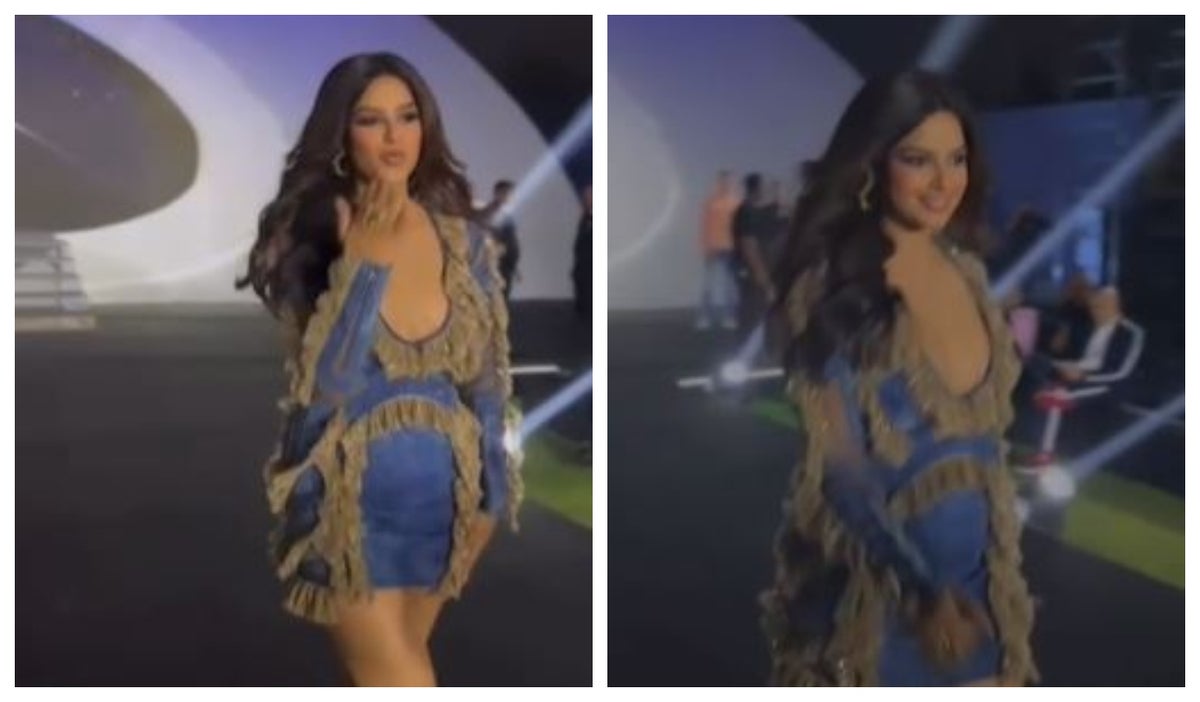 Dicen que Miss Universo 2021, Harnaaz Sandhu está embarazada por esta imagen