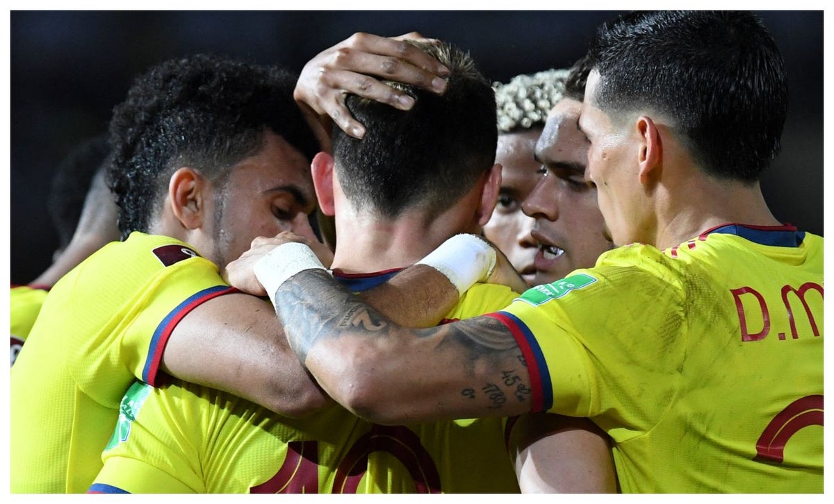 Selección Colombia fuera de Mundial de Qatar