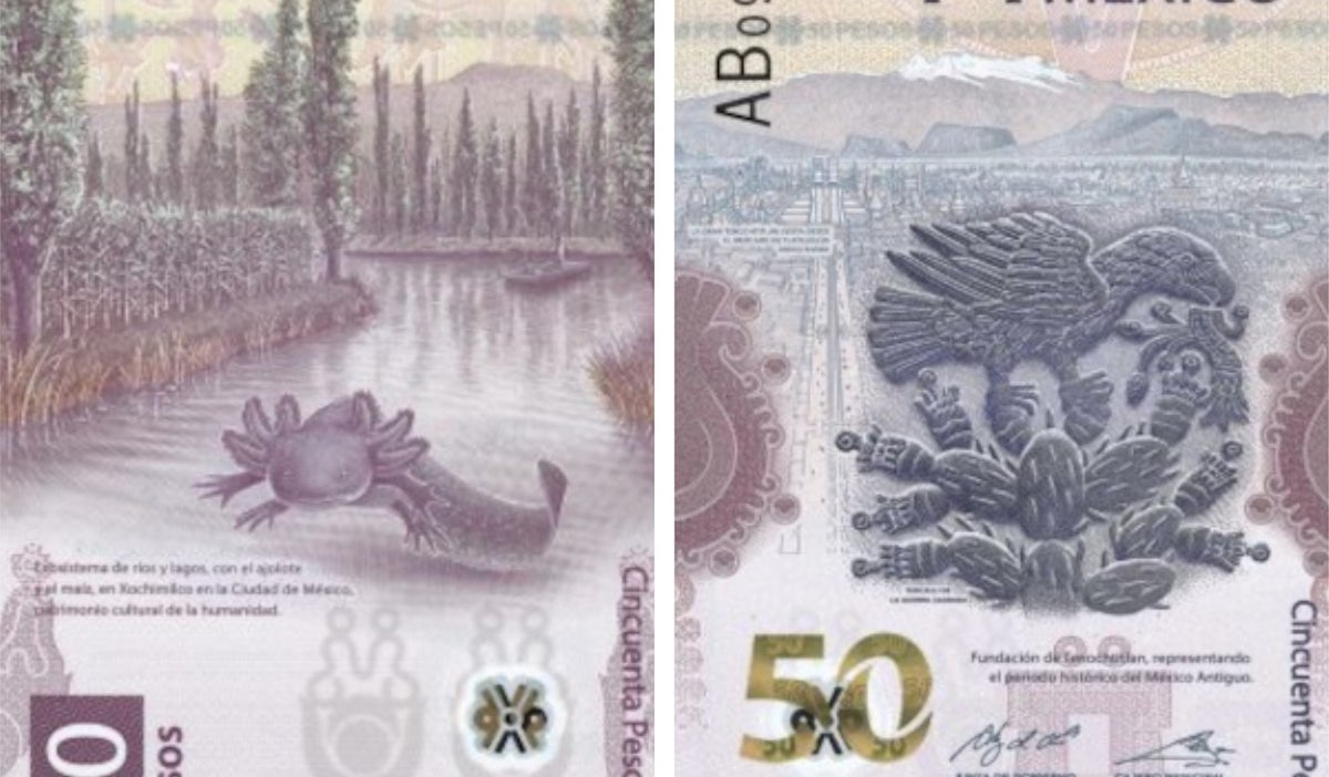 Billete de 50 pesos mexicanos