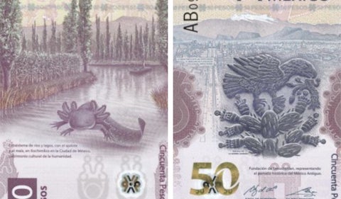 Billete de 50 pesos mexicanos