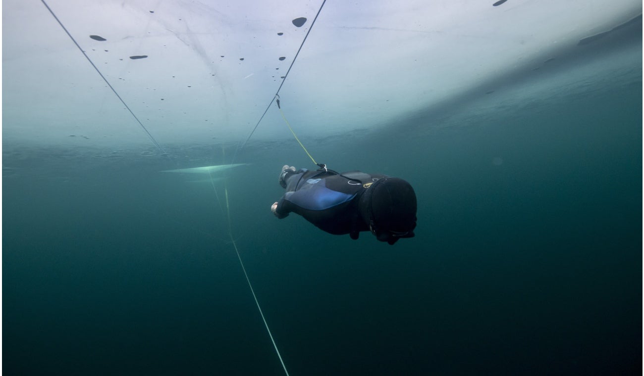Hombre practicando buceo