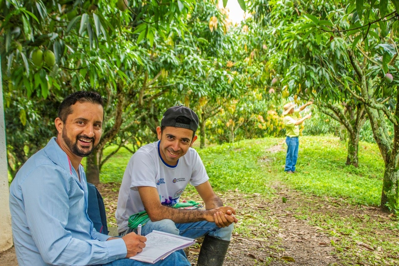 Cultivadores