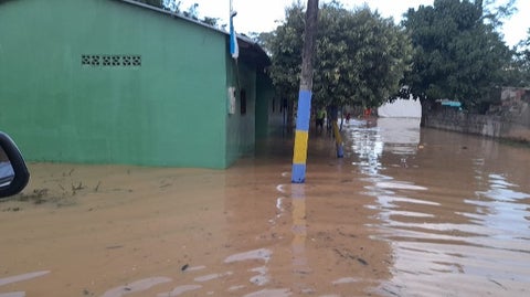 sector el Papayal