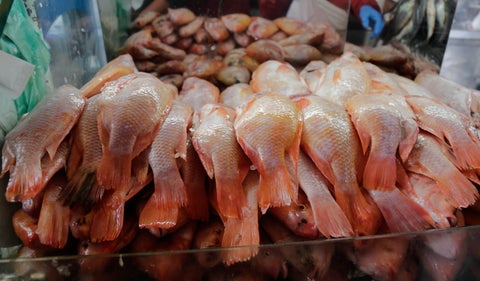 Pescado