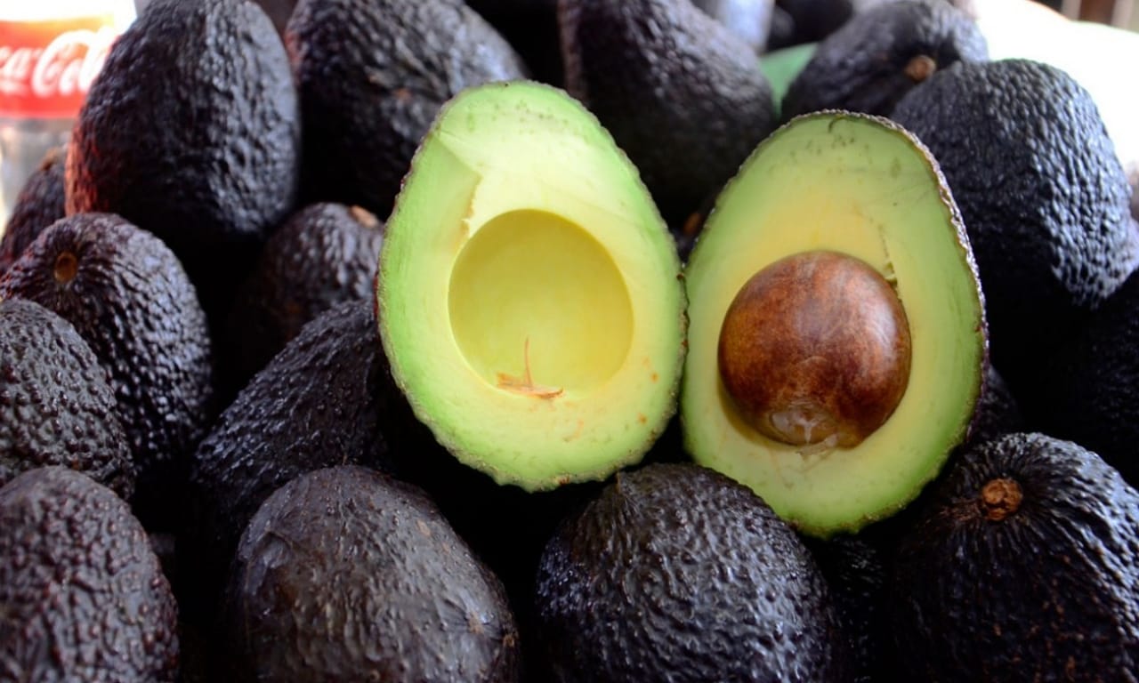 Sector aguacatero