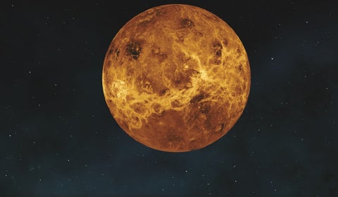 Venus