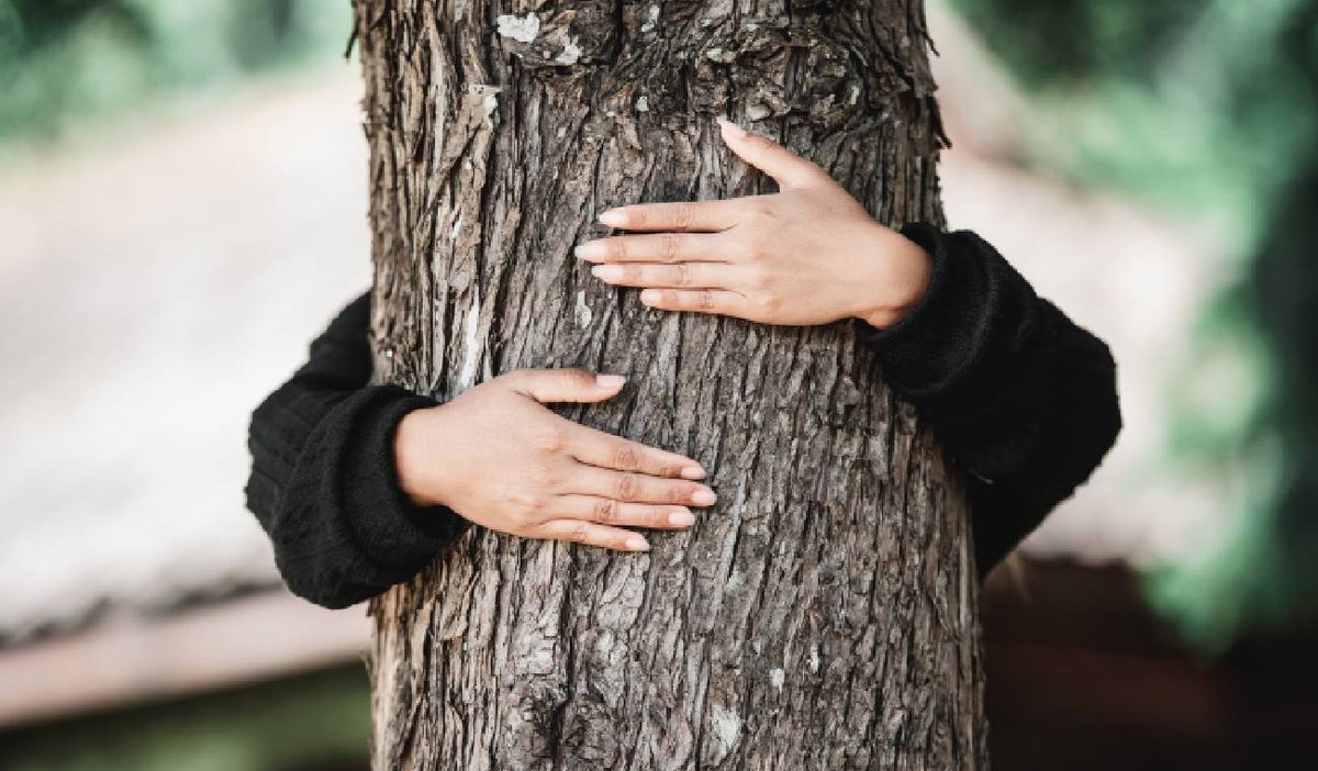 Abrazar un árbol