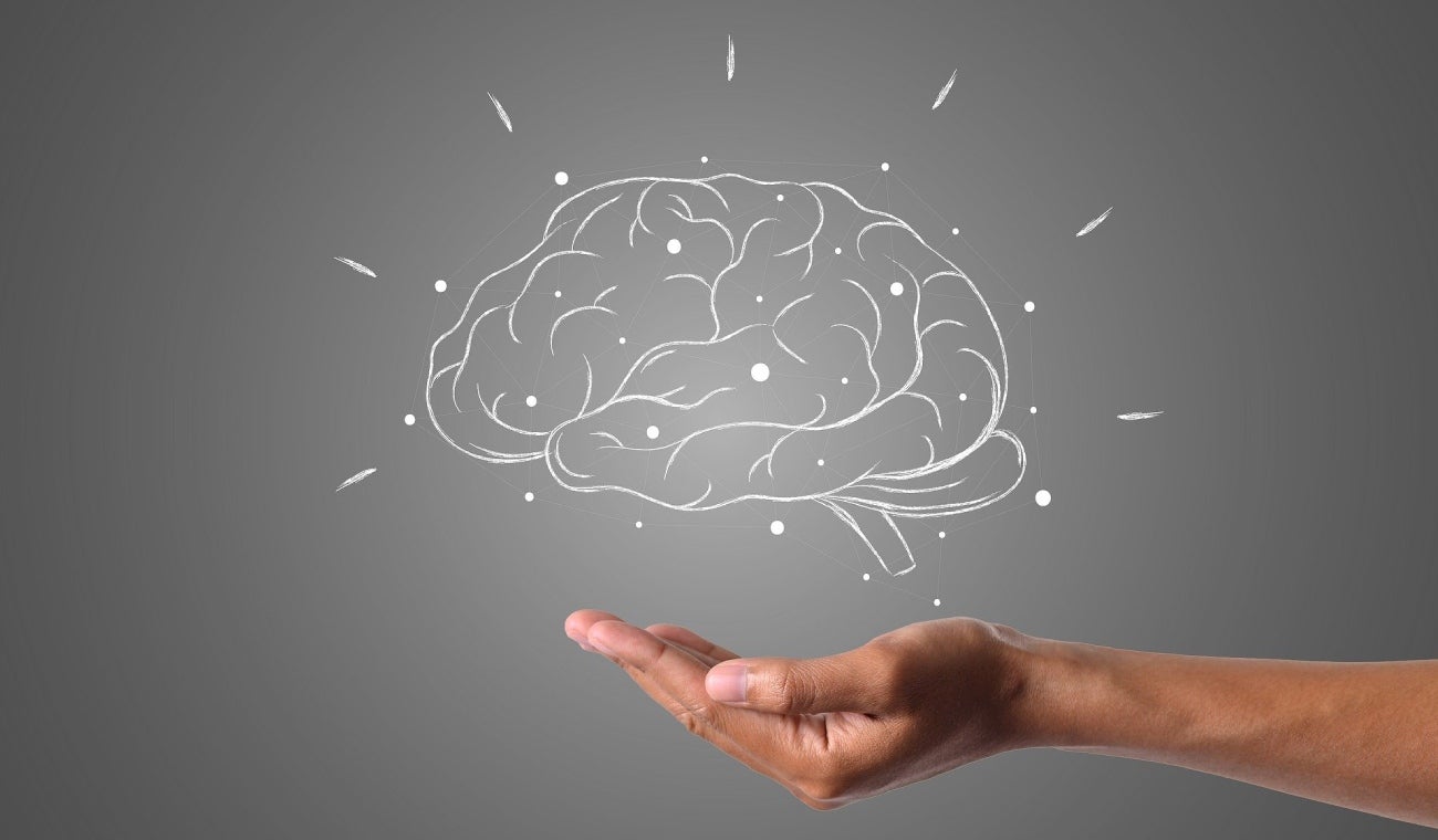 Cerebro humano