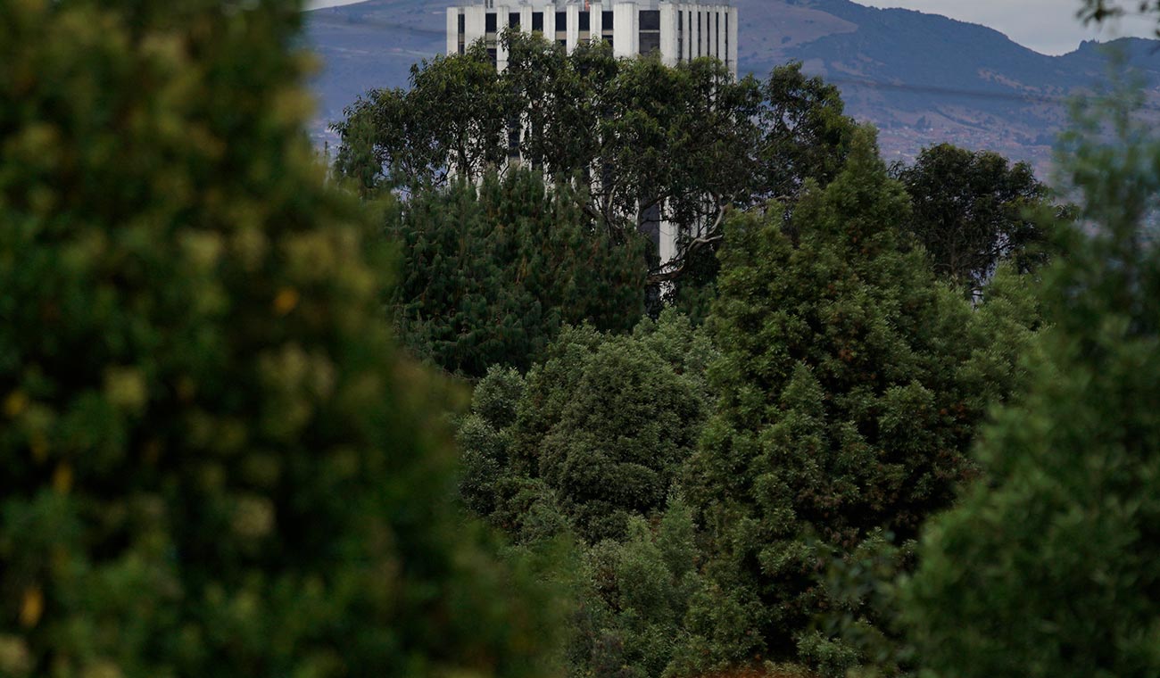 Cerros orientales de Bogotá