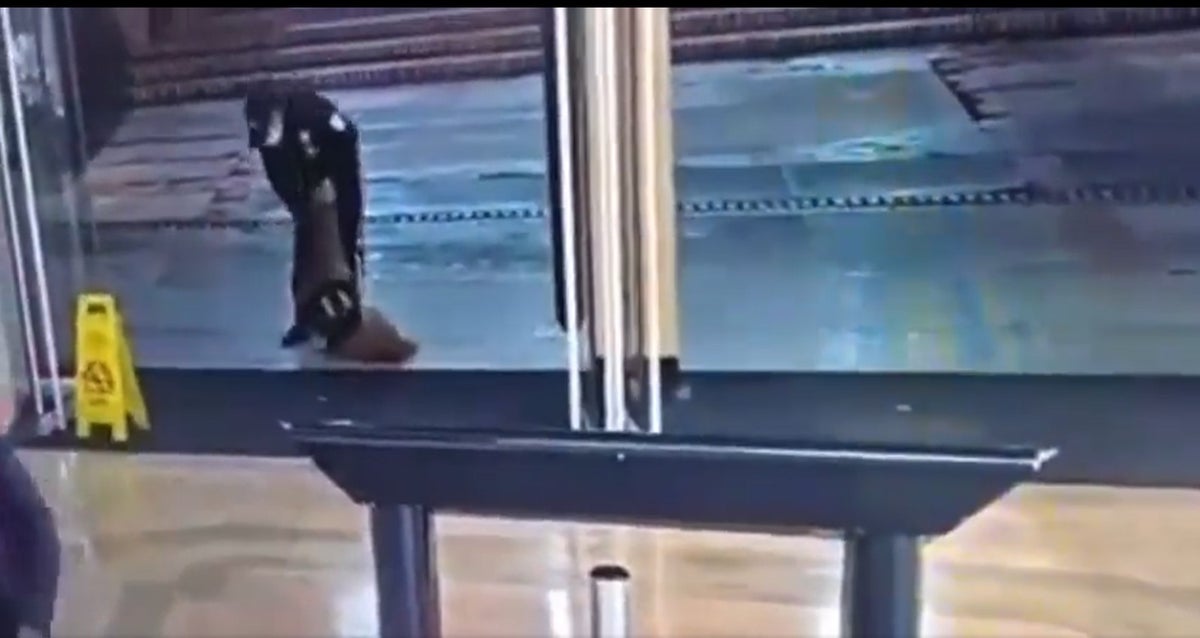 guarda de seguridad y perro