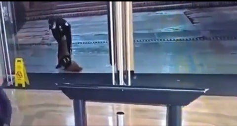guarda de seguridad y perro