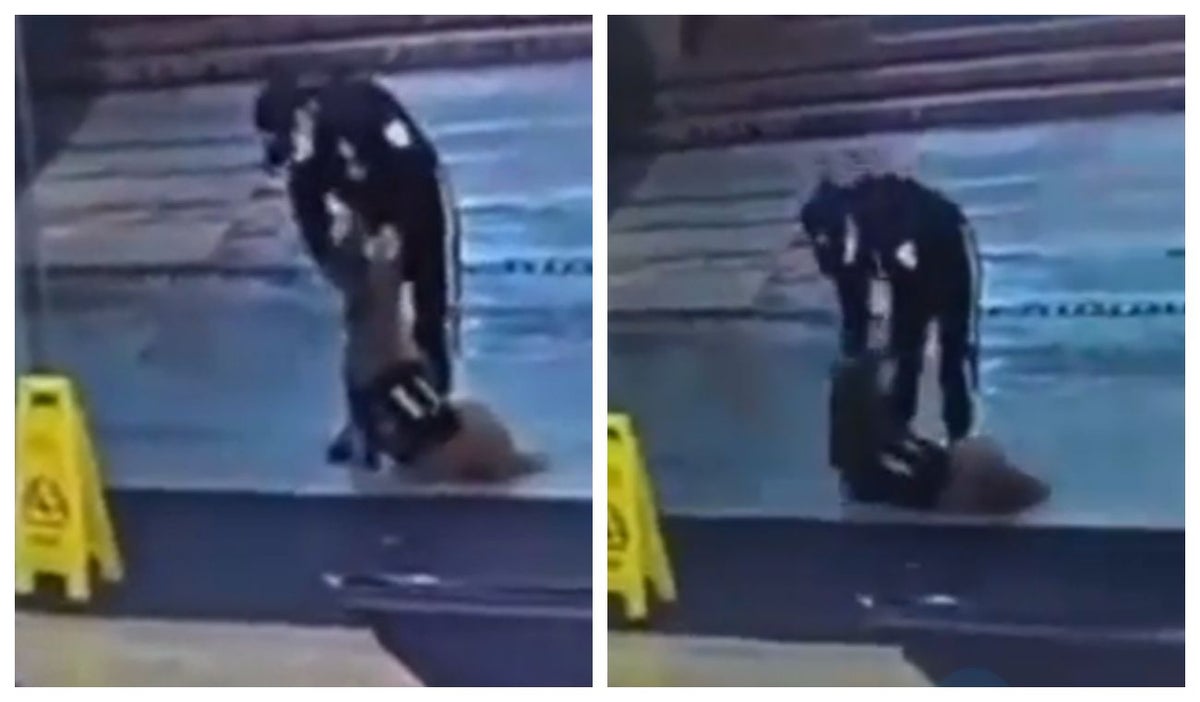 Maltrato animal en Bogotá