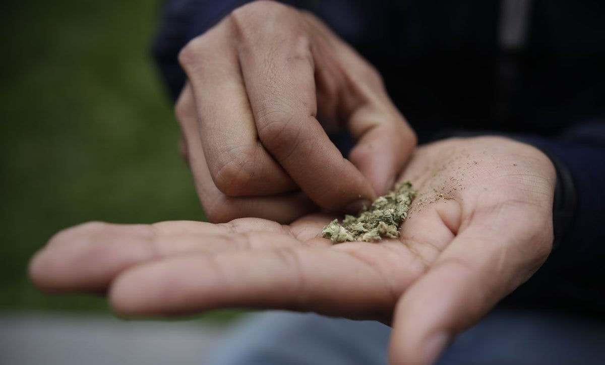 Marihuana, aborto, Esmad: Qué piensan Petro, Fico, Rodolfo y Fajardo: Elecciones 2022