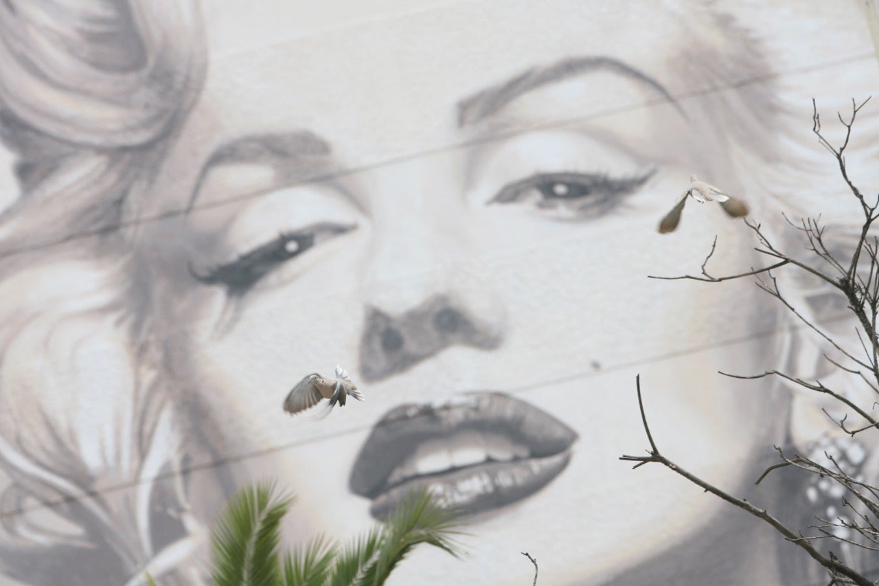 Marilyn Monroe