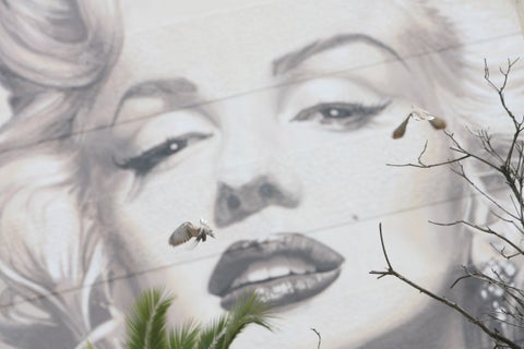 Marilyn Monroe