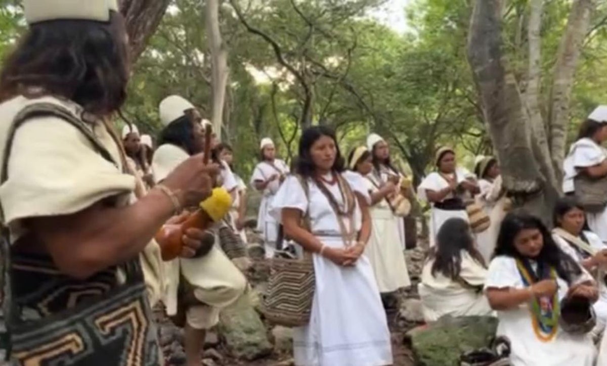 Presunta intervención indebida en la elección de los indígenas arhuacos