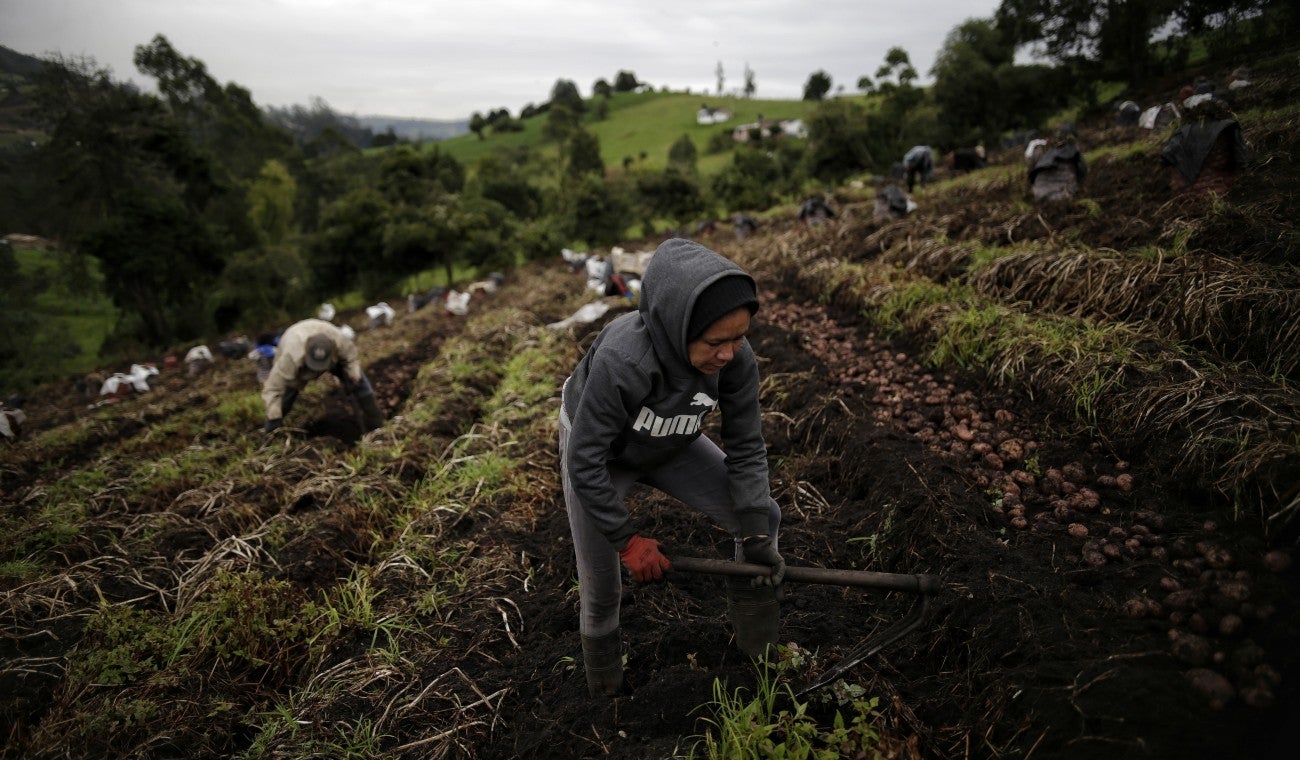 Agricultura