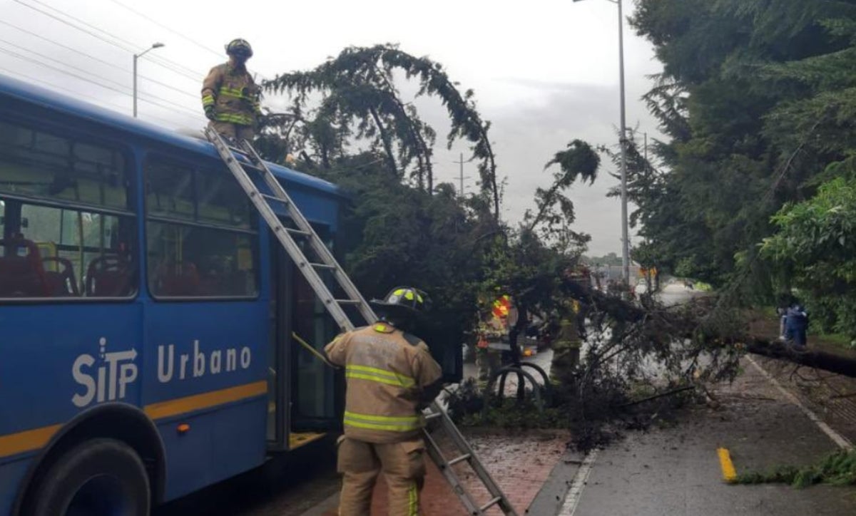 Árbol cae sobre bus del SITP en Autopista Norte