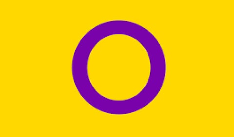 Bandera intersexual