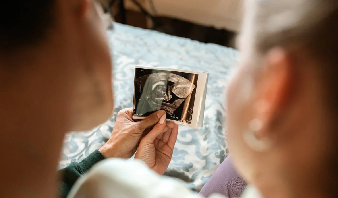 Fertilidad