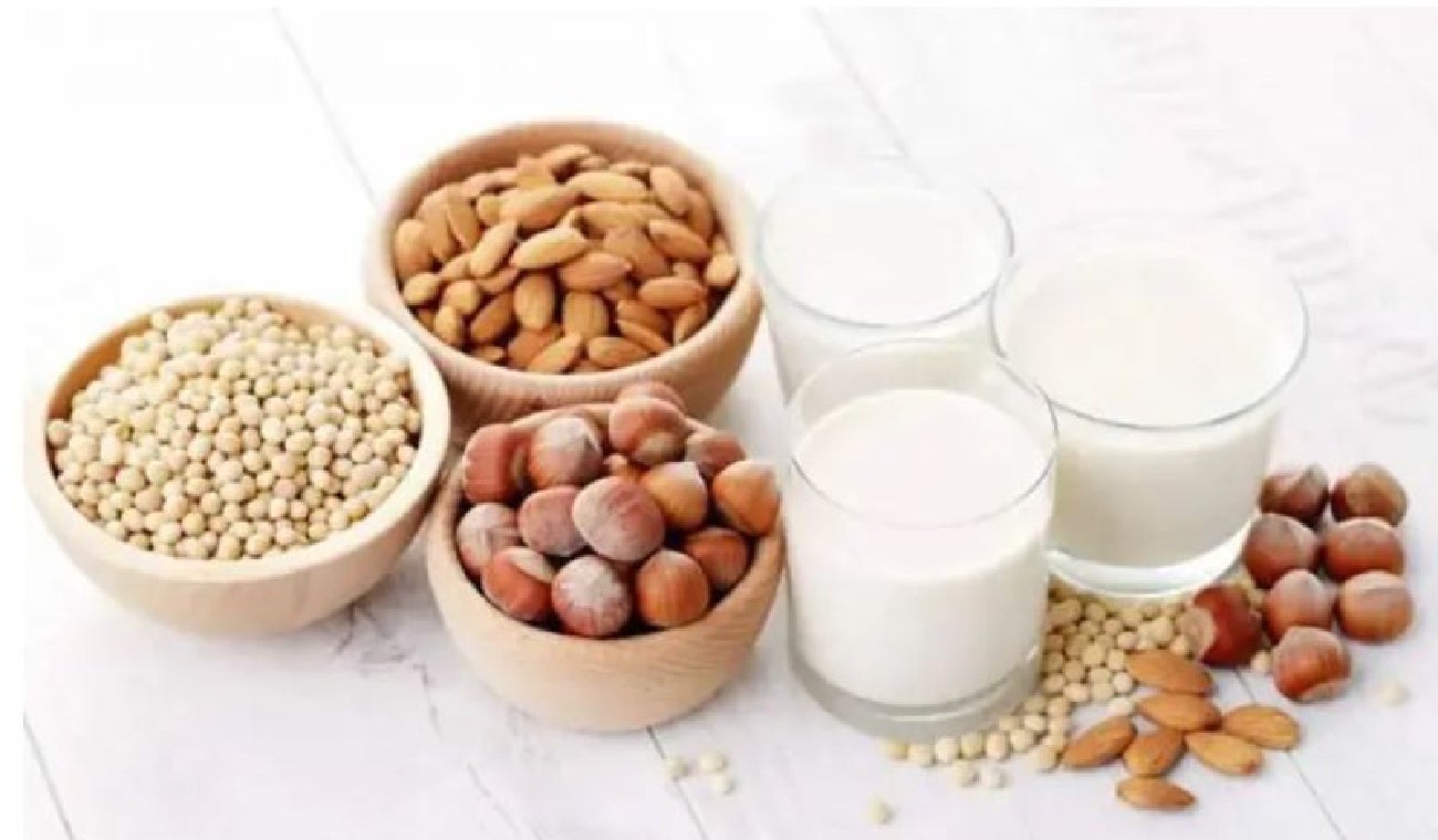 Leche Vegetal