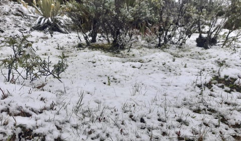 Nieve Sumapaz