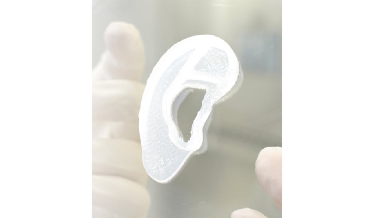 Oreja 3D